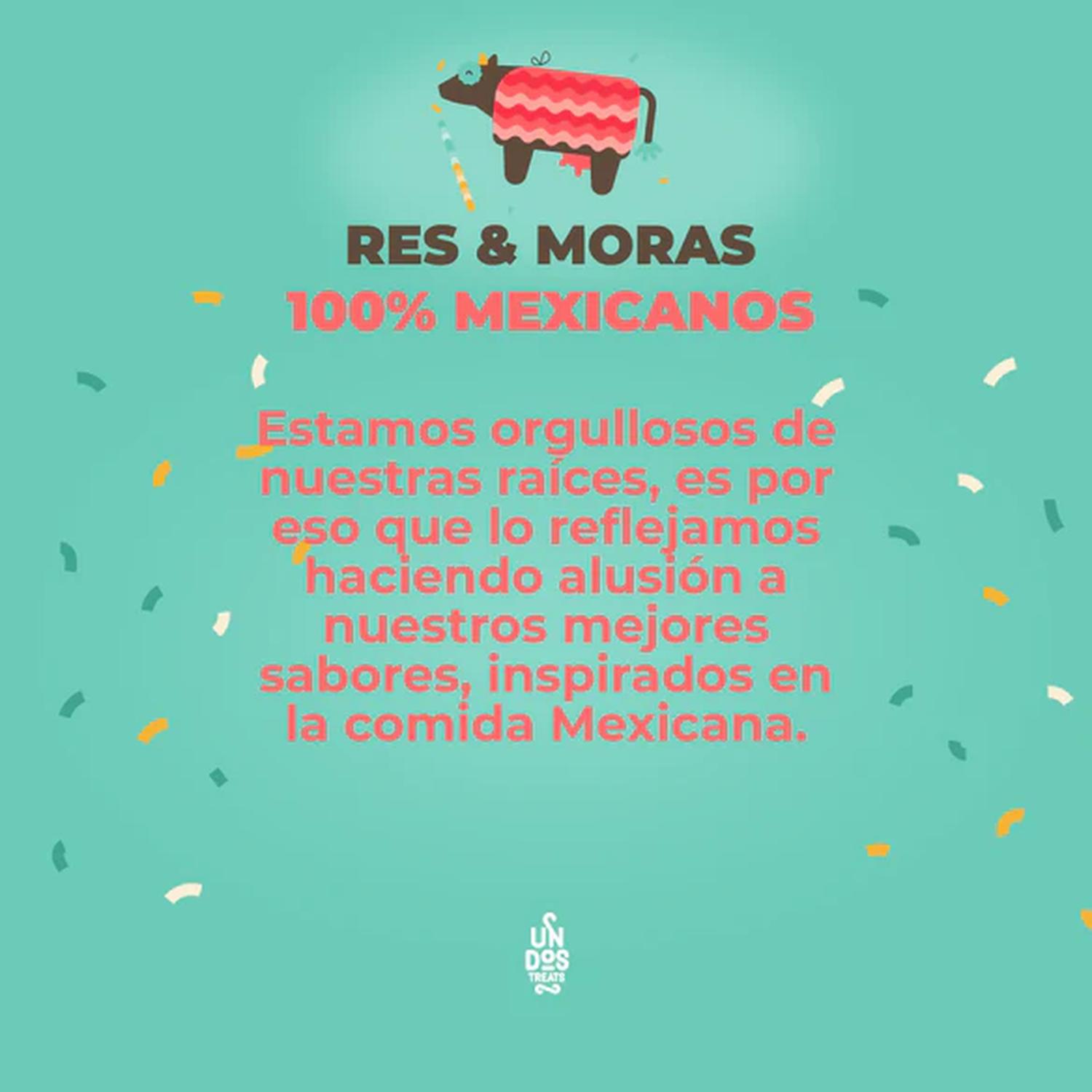 Un dos Treats Biscuits Galleta para perro Res y Moras 156gr | G.Valkyria - imagen 6