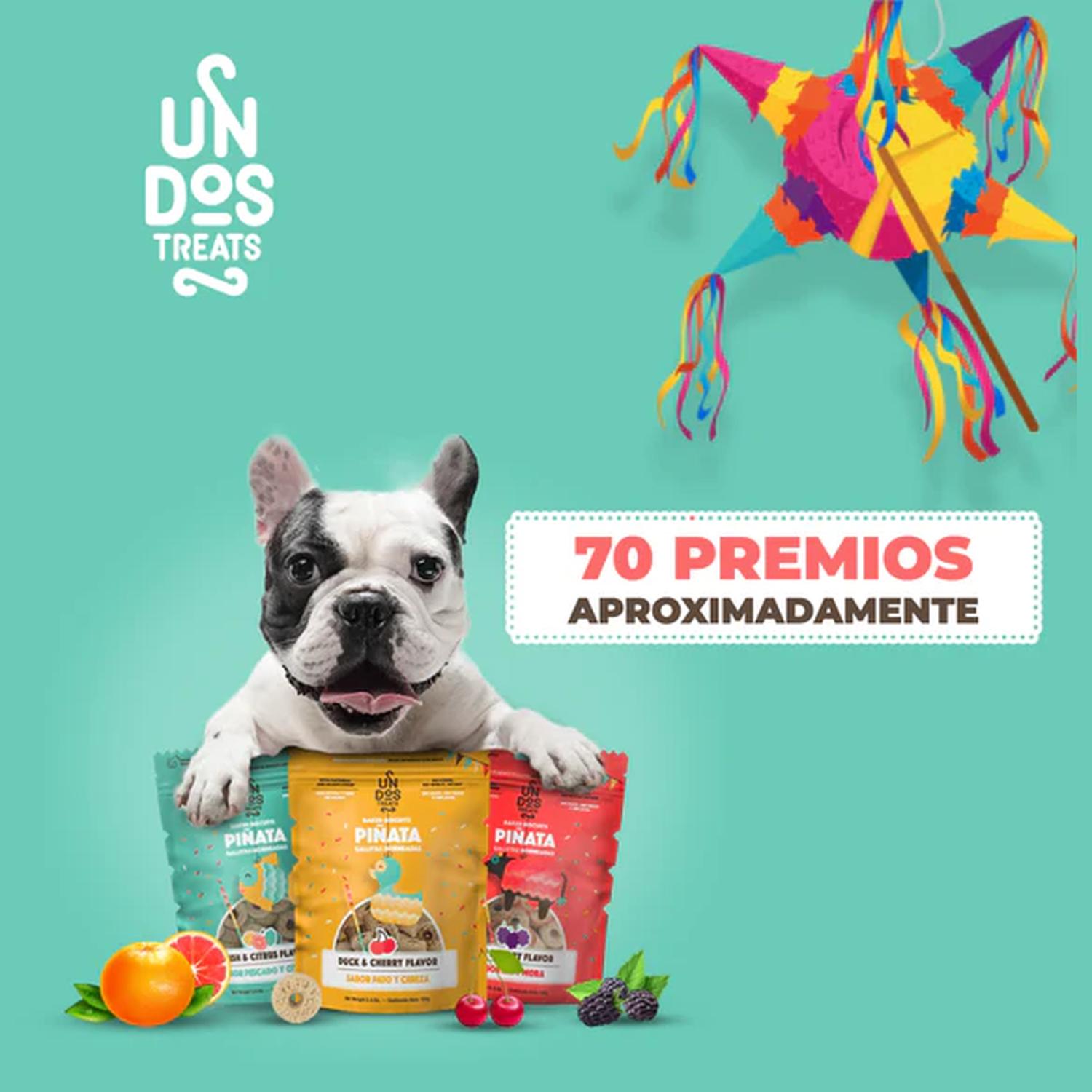 Un dos Treats Biscuits Galleta para perro Res y Moras 156gr | G.Valkyria - imagen 8