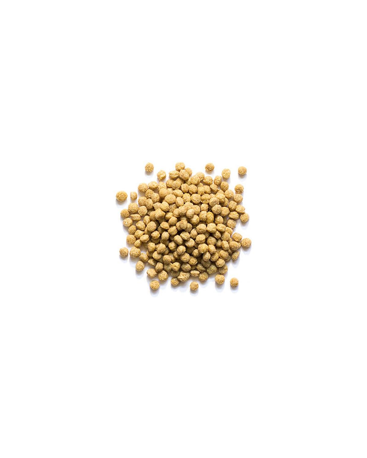 Zupreem alimento Natural ninfa, agaporni, conuro, cotorra 1.1 kg | G.Valkyria - imagen 3